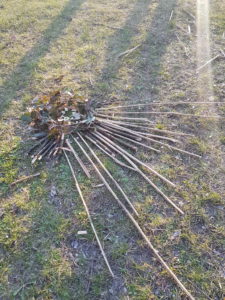 Land Art