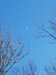 Mond