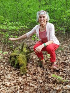 abgefallene Krone