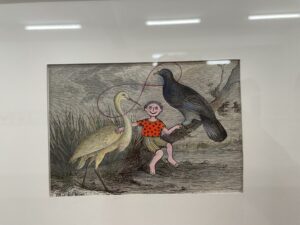 img 8541