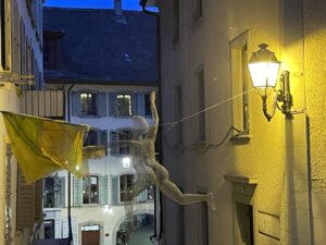 img 8557