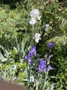 450811dc 990e 4010 8d4c e080e7568256 1 105 c